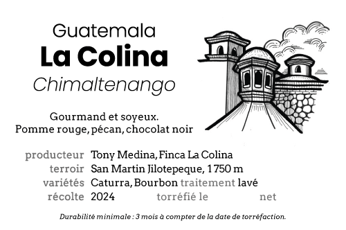 La Colina - San Martín Jilotepeque – Image 6