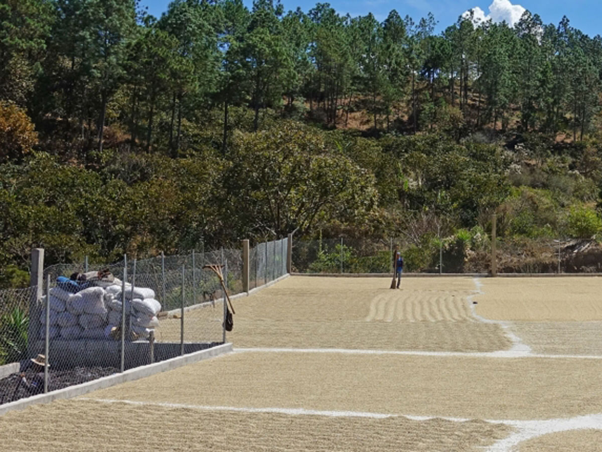 La Colina - San Martín Jilotepeque – Image 3