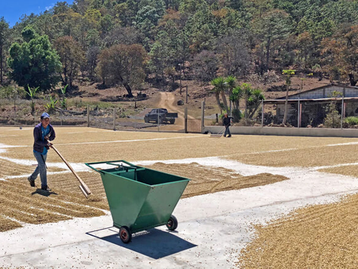 La Colina - San Martín Jilotepeque – Image 5