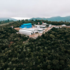 Ayarza Natural - Santa Rosa - naturel